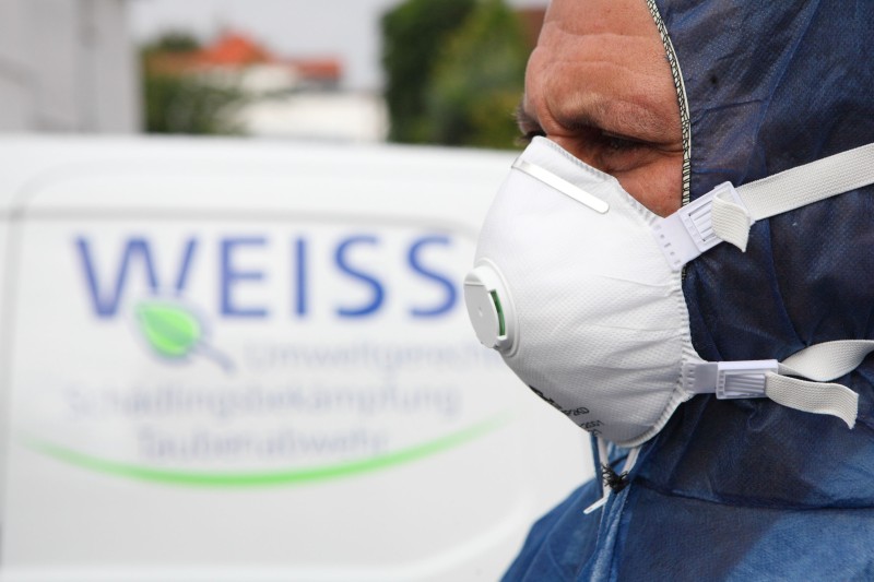 weiss hygiene professionelle schaedlingsbekaempfung eichenprozessionsspinner in frankfurt